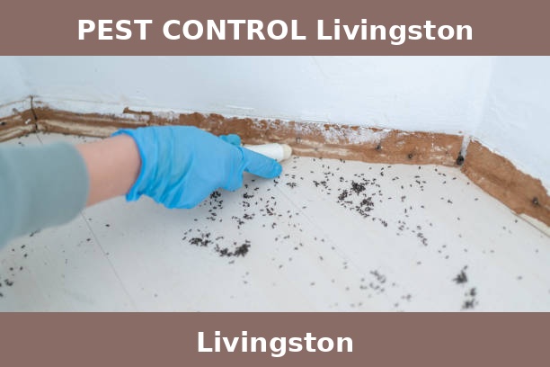 PEST CONTROL Livingston